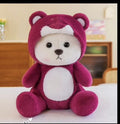 Hoodie Teddy Bear Stuffed Animal Soft Toy