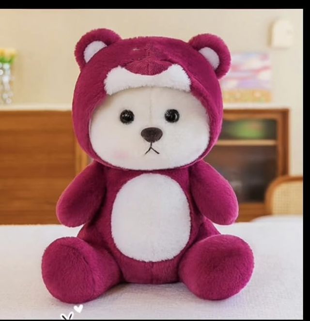 Hoodie Teddy Bear Stuffed Animal Soft Toy